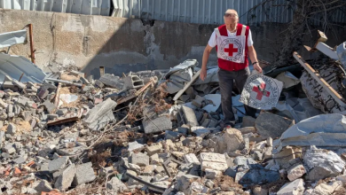 Photo of مؤرخ فرنسي: المنظمات الإنسانية قلقة من تحول غزة إلى مقبرة جماعية