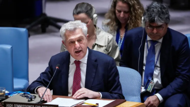 Photo of مسؤول أممي ينتقد عجز مجلس الأمن والاستهانة بالقانون الدولي الإنساني