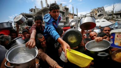 Photo of 40 شهيدا بغزة في يوم واحد وأزمة الجوع تتفاقم