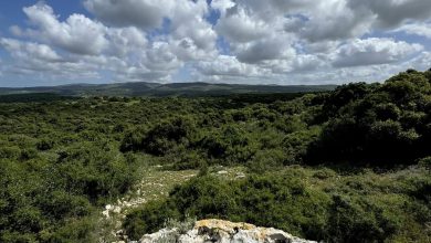 Photo of حالة الطقس: انخفاض ملموس في درجات الحرارة