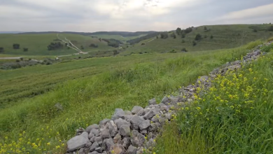 Photo of حالة الطقس: أجواء ربيعية معتدلة