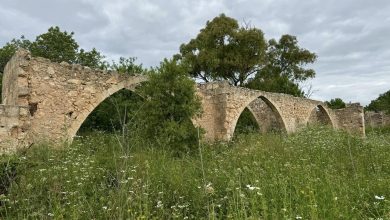 Photo of حالة الطقس: غائم جزئيا وبارد نسبيا