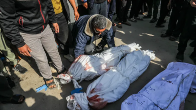 Photo of مجلس حقوق الإنسان يدين استئناف إسرائيل الحرب ويطالبها بمنع وقوع إبادة جماعية