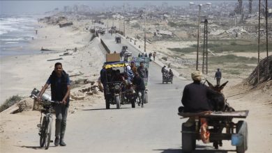 Photo of مصر: ترامب يدرك أن إسرائيل ترفع سقف مطالبها بغزة إلى حد غير معقول