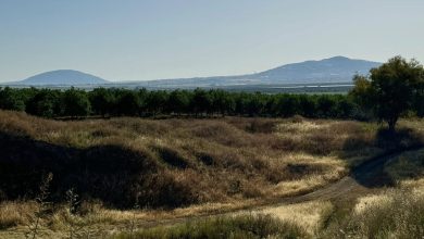 Photo of حالة الطقس: انخفاض طفيف في درجات الحرارة