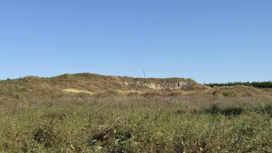 Photo of حالة الطقس: ارتفاع ملموس في درجات الحرارة