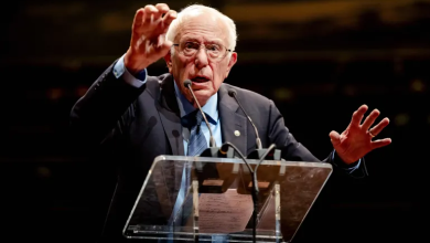 Photo of بيرني ساندرز: هكذا يمكن للديمقراطيين الخروج من غياهب النسيان