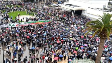 Photo of مغاربة يحتجون بميناء الدار البيضاء على رسو سفينة متجهة لإسرائيل