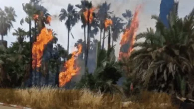 Photo of حرائق كبيرة وسط إسرائيل والسلطات تحاول إجلاء المئات