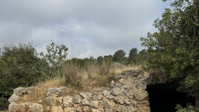 Photo of حالة الطقس: غائم جزئيا إلى غائم