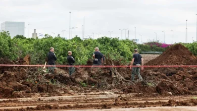 Photo of مسؤول حوثي: هدفنا إغلاق مطار بن غوريون