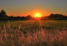 Photo of أجواء متقلبة في بداية الأسبوع وارتفاع ملموس على درجات الحرارة اعتبارًا من الثلاثاء