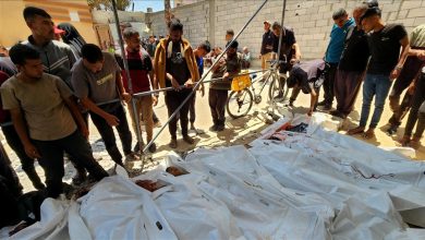 Photo of صحة غزة: ارتفاع حصيلة شهداء العدوان الإسرائيلي إلى 56 ألفا و156
