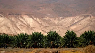 Photo of الطقس: ارتفاعات متتالية في درجات الحرارة وأجواء شديدة الحرارة