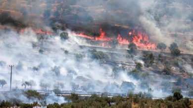 Photo of هآرتس: أهل الضفة الغربية يذبحون بهدوء