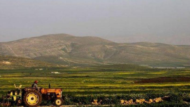 Photo of حالة الطقس حتى الأحد: أجواء صيفية حارة