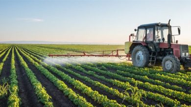 Photo of الطقس: موجة حر مستمرة حتى الثلاثاء ودرجات حرارة أعلى من المعدلات