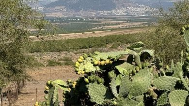 Photo of حالة الطقس: أجواء حارة