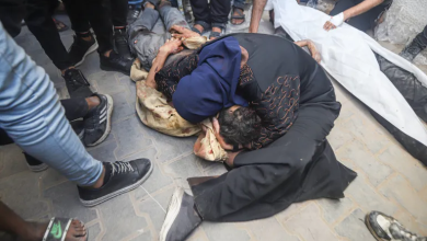 Photo of مدير مجمع الشفاء الطبي بغزة: ندعو لإغلاق مصايد الموت بشكل عاجل جدا