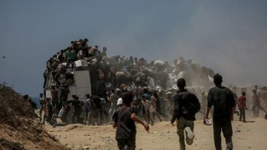Photo of حكومة غزة: الاحتلال أدخل 87 شاحنة مساعدات وأشرف على سرقتها