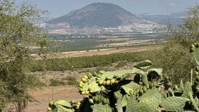 Photo of حالة الطقس: انخفاض ملموس في درجات الحرارة