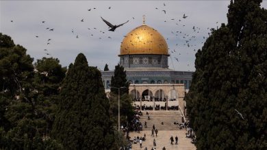 Photo of 15 دولة غربية تطلق نداء جماعيا للاعتراف بدولة فلسطين