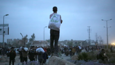 Photo of الحرب على غزة.. مجزرة بتل الهوى والمعاناة تتفاقم تحت وطأة المجاعة