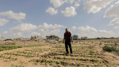 Photo of هذا ما تبقى من أراضي غزة الصالحة للزراعة بسبب العدوان الإسرائيلي
