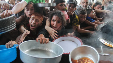 Photo of الحرب على غزة.. المجاعة تتوسع وجيش الاحتلال يقدم خططا لاستمرار القتال
