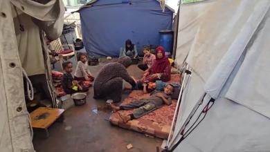 Photo of الأمم المتحدة: واحد من كل 3 فلسطينيين بغزة لم يأكل منذ أيام