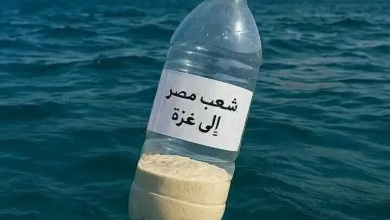 Photo of هل وصلت عبوات طعام من شواطئ مصر إلى غزة؟ (شاهد)