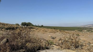 Photo of حالة الطقس: أجواء حارة