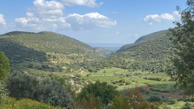 Photo of حالة الطقس: ارتفاع في درجات الحرارة
