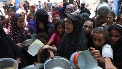 Photo of “الأغذية العالمي”: فرصة مواجهة المجاعة في غزة تتلاشى بسرعة