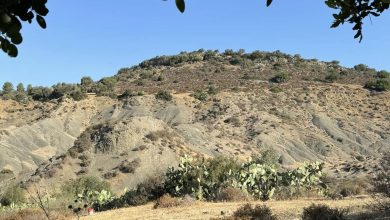 Photo of حالة الطقس: أجواء شديدة الحرارة