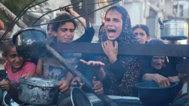 Photo of الحرب على غزة: 117 شهيدا بسبب المجاعة والصحة العالمية تحذر من زيادة كبيرة في الوفيات