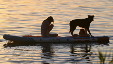 Photo of أوروبا تتأهب لعواصف رعدية بعد انحسار موجة الحر