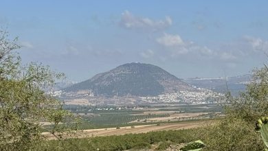 Photo of حالة الطقس: أجواء صيفية حارة خلال الأيام المقبلة