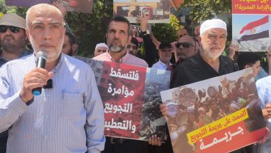 Photo of 2 مليون ذباب شاتم.. لن تهزّوا شعرة في ظاهر كفّ قدمي