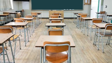 Photo of وزارة التربية الفلسطينية تعلن نتائج الثانوية العامة 2025