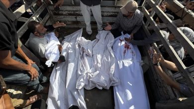 Photo of استشهاد 25 فلسطينيا في قطاع غزة.. بينهم أطفال ومجوعون