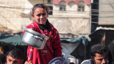 Photo of بعد تسجيل ثلاث حالات جديدة: ارتفاع عدد وفيات المجاعة في غزة إلى 162 شهيدًا