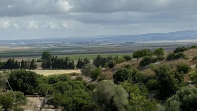 Photo of حالة الطقس: غائم جزئيا إلى صاف