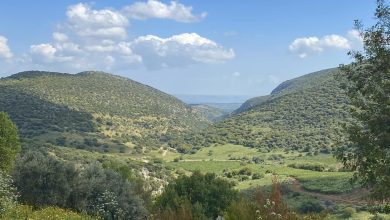 Photo of حالة الطقس: أجواء حارة