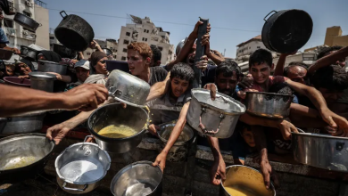 Photo of أرقام تكشف كيف أصبحت غزة بؤرة المجاعة في العالم