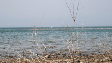 Photo of حالة الطقس: أجواء حارة نهارا ولطيفة مساءً