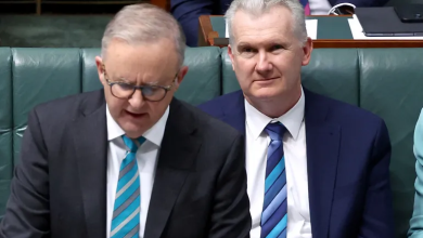 Photo of أستراليا لنتنياهو: القوة لا تقاس بعدد من يمكنكم تفجيرهم أو تجويعهم