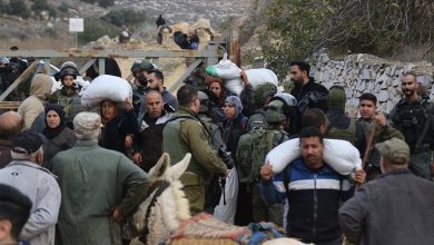 Photo of 200 يوم من العدوان شمال الضفة.. الاحتلال يقتل 58 فلسطينيا ويهجّر 47 ألفا