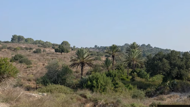 Photo of حالة الطقس: انخفاض طفيف آخر في درجات الحرارة