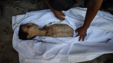Photo of صحة غزة: ارتفاع وفيات التجويع الإسرائيلي إلى 188 بينهم 94 طفلا